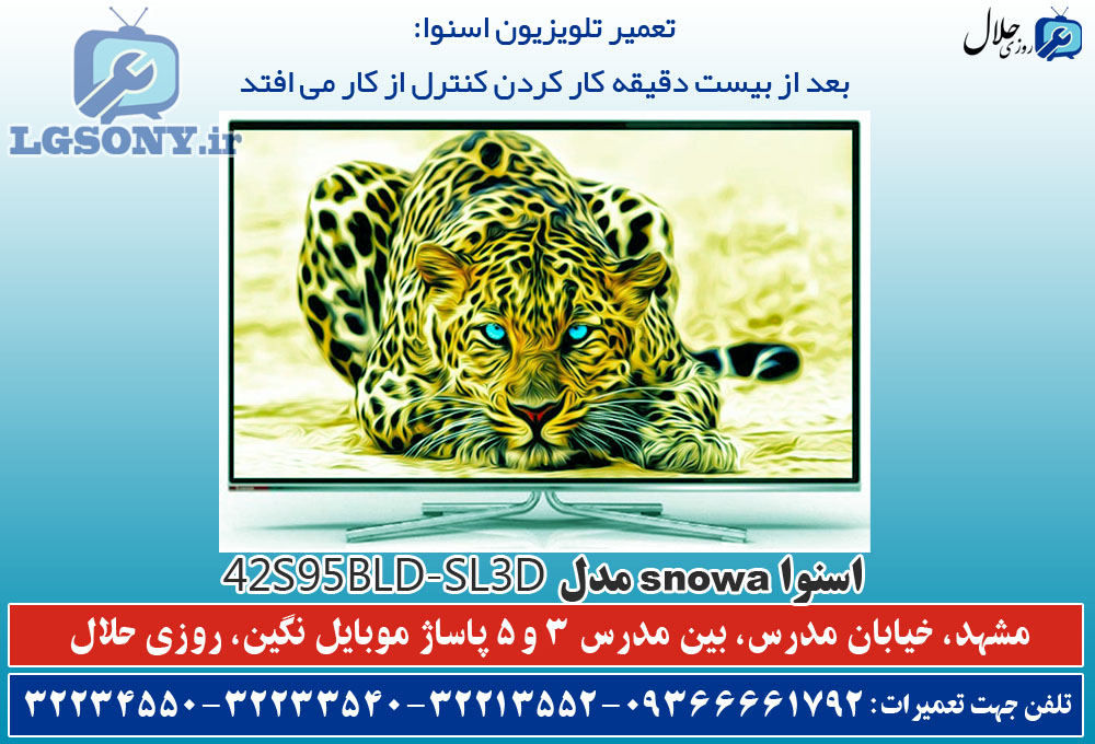 تعمیر اسنوا بعد از بیست دقیقه کار کردن کنترل از کار می افتد