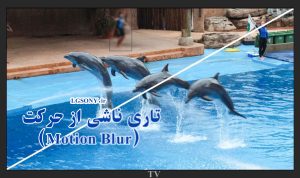 تاری ناشی از حرکت (Motion Blur) در LCD