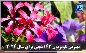 بهترین تلویزیون 43 اینچی برای سال 2024